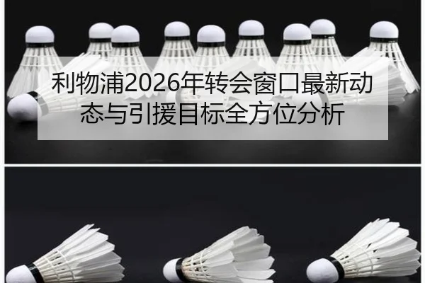 li-wu-pu-nian-zhuan-hui-chuang-kou-zui-xin-dong-tai-yu-yin-yuan-mu-biao-quan-fang-wei-fen-xi-2-420.jpg